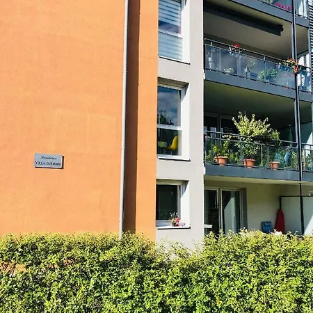 D'ambre Colmar